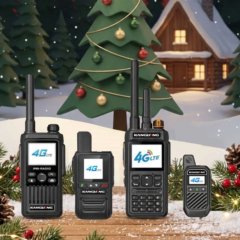 Инструкция по эксплуатации моделей PoC